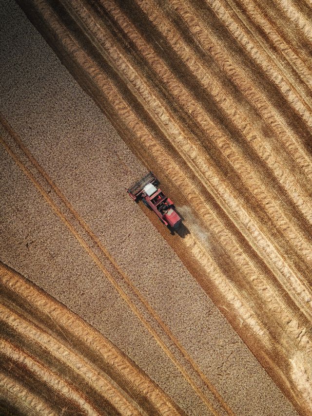 Agriculture