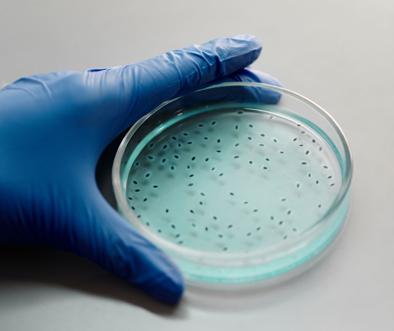 Microbes